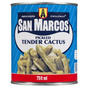Cactus San Marcos